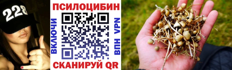 закладка  Новая Ляля  Псилоцибиновые грибы мицелий 